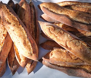 Photo of Bread Shop