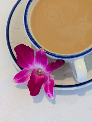 Photo of Tulsi