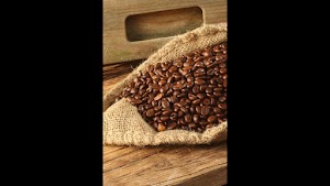 Photo of Ohori's Coffee Roasters, St. Francis Location